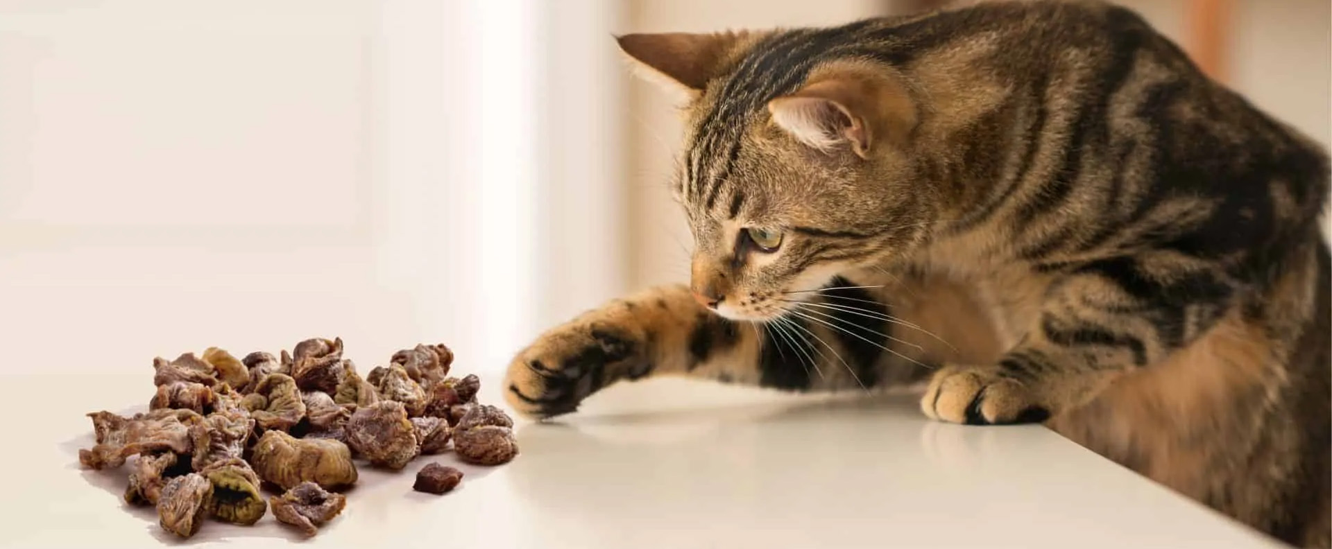 Haustier Discounter -Haustier Discounter 2