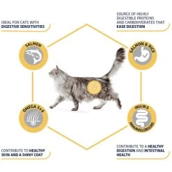 Affinity Advance Adult Salmon Sensitive - Katze -Haustier Discounter affinity advance adult salmon sensitive kat 178666 0500 none