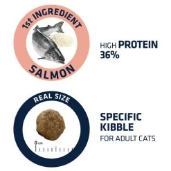 Affinity Advance Adult Salmon Sensitive - Katze -Haustier Discounter affinity advance adult salmon sensitive kat 178669 0500 none