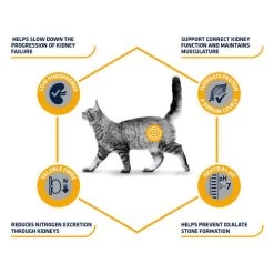 Affinity Advance Veterinary Diets Renal Katze -Haustier Discounter affinity advance veterinary diets renal kat 176884 0500 none