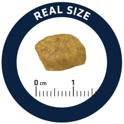 Affinity Advance Veterinary Diets Renal Katze -Haustier Discounter affinity advance veterinary diets renal kat 176890 0500 none