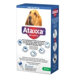 Ataxxa -Haustier Discounter ataxxa 216875 0500 none