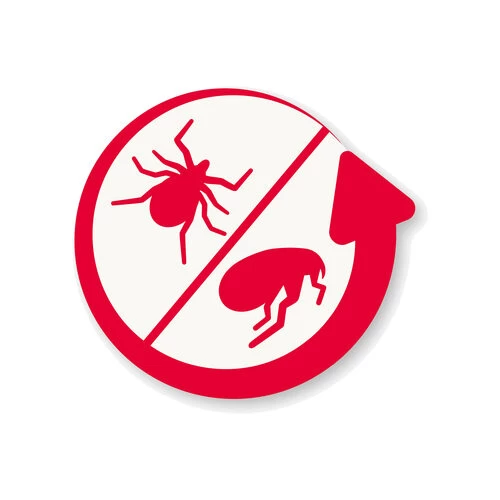 Beaphar Fiprotec Spray 5 Beaphar Fiprotec Spray – Bild 3