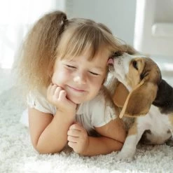 Beaphar Fiprotec Spray 11 Beaphar Fiprotec Spray -Haustier Discounter beaphar fiprotec spray 213632 0500 none