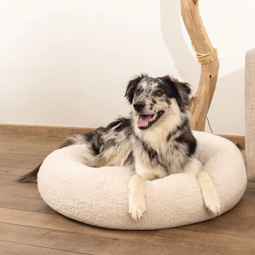 Beeztees Memory Foam Jaxx - Hundekorb - Plüsch – Bild 9