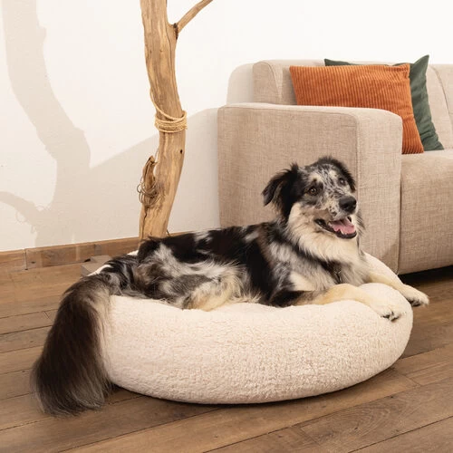 Beeztees Memory Foam Jaxx - Hundekorb - Plüsch – Bild 10