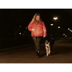 Beeztees Safety Gear Parinca Premium Halsband 17 Beeztees Safety Gear Parinca Premium Halsband -Haustier Discounter beeztees safety gear parinca premium halsband 215009 0500 none