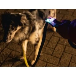 Beeztees Safety Gear Parinca Premium Hundeleine 14 Beeztees Safety Gear Parinca Premium Hundeleine -Haustier Discounter beeztees safety gear parinca premium hondenriem 215036 0500 none