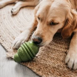 Beeztees Sumo Play Dental -Haustier Discounter beeztees sumo dental 178441 0500 none