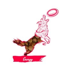 Calibra Dog Expert Nutrition Energy -Haustier Discounter calibra dog expert nutrition energy 163534 0500 none