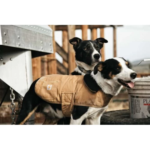 Carhartt Dog Chore Coat 8 Carhartt Dog Chore Coat – Bild 6