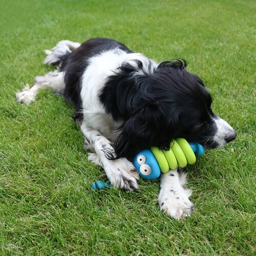 Coockoo Larry 5 Coockoo Larry – Bild 3