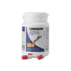 Cosequin DS -Haustier Discounter cosequin ds 169032 0500 none