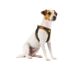 Curli Vegan Apple Leather Geschirr 9 Curli Vegan Apple Leather Geschirr -Haustier Discounter curli harnas vegan appelleer 216631 0500 none