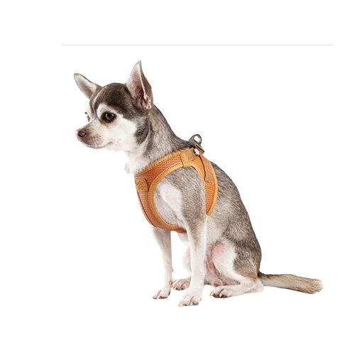 Curli Vegan Apple Leather Geschirr 4 Curli Vegan Apple Leather Geschirr – Bild 2