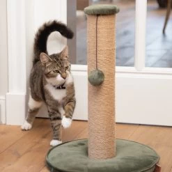 Designed By Lotte Kratzbaum Yenna -Haustier Discounter designed by lotte krabpaal yenna 164437 0500 none