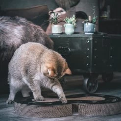 District 70 Snake -Haustier Discounter district 70 snake kattenspeelgoed 190421 0500 none