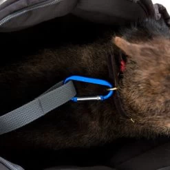 Doctor Bark Hundetragetasche 12 Doctor Bark Hundetragetasche -Haustier Discounter doctor bark honden draagtas 202157 0500 none