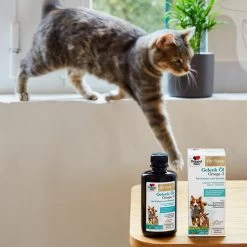 Doppelherz Gelenk Öl Omega-3 Für Katzen Und Hunde 18 Doppelherz Gelenk Öl Omega-3 Für Katzen Und Hunde -Haustier Discounter doppelherz gelenk oel fuer katzen hunde 195062 0500 none