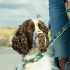 DWAM Halsband Boho Juan -Haustier Discounter dwam halsband boho juan 133658 0500 none