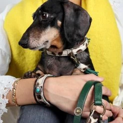 DWAM Halsband Ivy -Haustier Discounter dwam halsband ivy 180688 0500 none