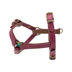 DWAM Hundegeschirr Lou Lou -Haustier Discounter dwam hondentuigje lou lou 182155 0500 none