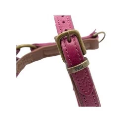 DWAM Hundegeschirr Lou Lou -Haustier Discounter dwam hondentuigje lou lou 182158 0500 none