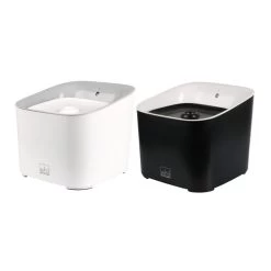 Ebi Manoa Katzenbrunnen