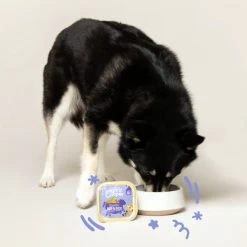 Edgard & Cooper Adult - Rind & Ente - Schälchen -Haustier Discounter edgard cooper adult rund eend kuipje 168612 0500 none