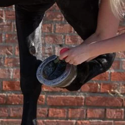 Equi Protecta Blue Wonder Gel -Haustier Discounter equi protecta blue wonder gel 161240 0500 none