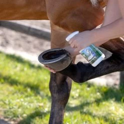 Equi Protecta Huf-Spray -Haustier Discounter equi protecta hoevenspray 161273 0500 none