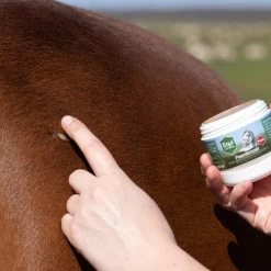 Equi Protecta Pferdesalbe -Haustier Discounter equi protecta paardenzalf 161327 0500 none