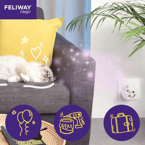 Feliway Help! 7 Feliway Help! – Bild 5