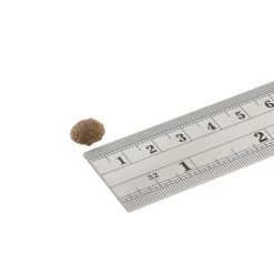 Fish4Dogs Finest Adult Complete - Sardine Kleine Brocken 5 Fish4Dogs Finest Adult Complete - Sardine Kleine Brocken -Haustier Discounter fish4dogs finest adult complete sardine kleine brok 160934 0500 none