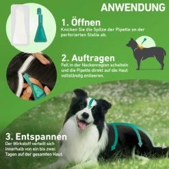 Frontline Combo Gegen Zecken, Flöhe (Flöhe, Eier, Larven, Puppen) Bei Hunden 30 Frontline Combo Gegen Zecken, Flöhe (Flöhe, Eier, Larven, Puppen) Bei Hunden -Haustier Discounter frontline combo spot on hond 192953 0500 none