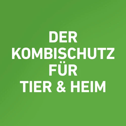 Frontline Combo Spot On Katze 7 Frontline Combo Spot On Katze – Bild 5