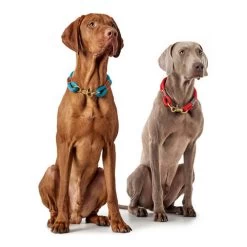 Hunter Halsband Oss -Haustier Discounter hunter halsband oss 146099 0500 none