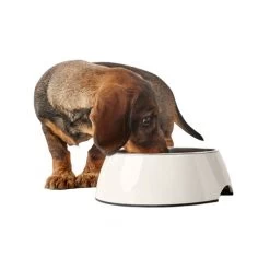 Hunter Melamin Napf - Weiß -Haustier Discounter hunter melamine voer en drinkbak wit 169567 0500 none