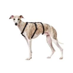 Hunter Vario Rapid Sicherheitsgeschirr - Schwarz -Haustier Discounter hunter vario rapid veiligheidsharnas zwart 169501 0500 none