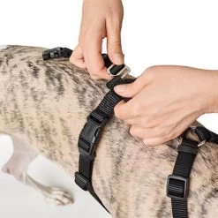 Hunter Vario Rapid Sicherheitsgeschirr - Schwarz -Haustier Discounter hunter vario rapid veiligheidsharnas zwart 169504 0500 none