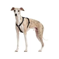 Hunter Vario Rapid Sicherheitsgeschirr - Schwarz -Haustier Discounter hunter vario rapid veiligheidsharnas zwart 169507 0500 none