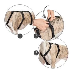 Hunter Vario Rapid Sicherheitsgeschirr - Schwarz -Haustier Discounter hunter vario rapid veiligheidsharnas zwart 169510 0500 none