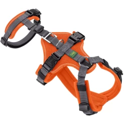 Hunter Sicherheitsgeschirr Maldon -Haustier Discounter hunter veiligheidsharnas maldon 221556 0500 none