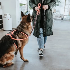 Hunter Sicherheitsgeschirr Maldon -Haustier Discounter hunter veiligheidsharnas maldon 221557 0500 none