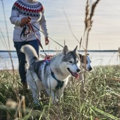 Hurtta - Geschirr Weekend Warrior Winter - Bilberry -Haustier Discounter hurtta weekend warrior winter harnas bilberry 216605 0500 none