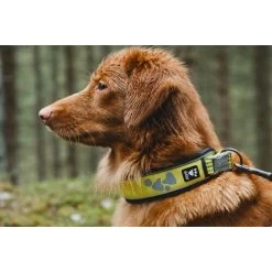 Hurtta Weekend Warrior Halsband -Haustier Discounter hurtta weekend warrior collar 189090 0500 none
