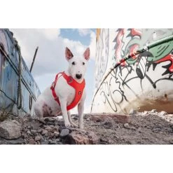 Hurtta Weekend Warrior Eco Geschirr -Haustier Discounter hurtta weekend warrior eco harness 189132 0500 none