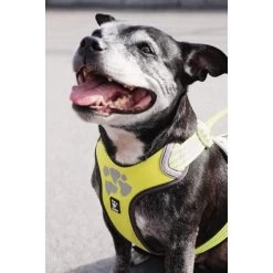 Hurtta Weekend Warrior Geschirr -Haustier Discounter hurtta weekend warrior harness 189093 0500 none