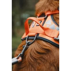 Hurtta Weekend Warrior Geschirr -Haustier Discounter hurtta weekend warrior harness 189096 0500 none