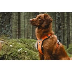 Hurtta Weekend Warrior Geschirr -Haustier Discounter hurtta weekend warrior harness 189108 0500 none